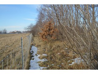 Property photo 38 - FARMLAND AUCTION, 60+/- Acres in 6 Tracts ranging from 4 to 20 acres & in combinations!